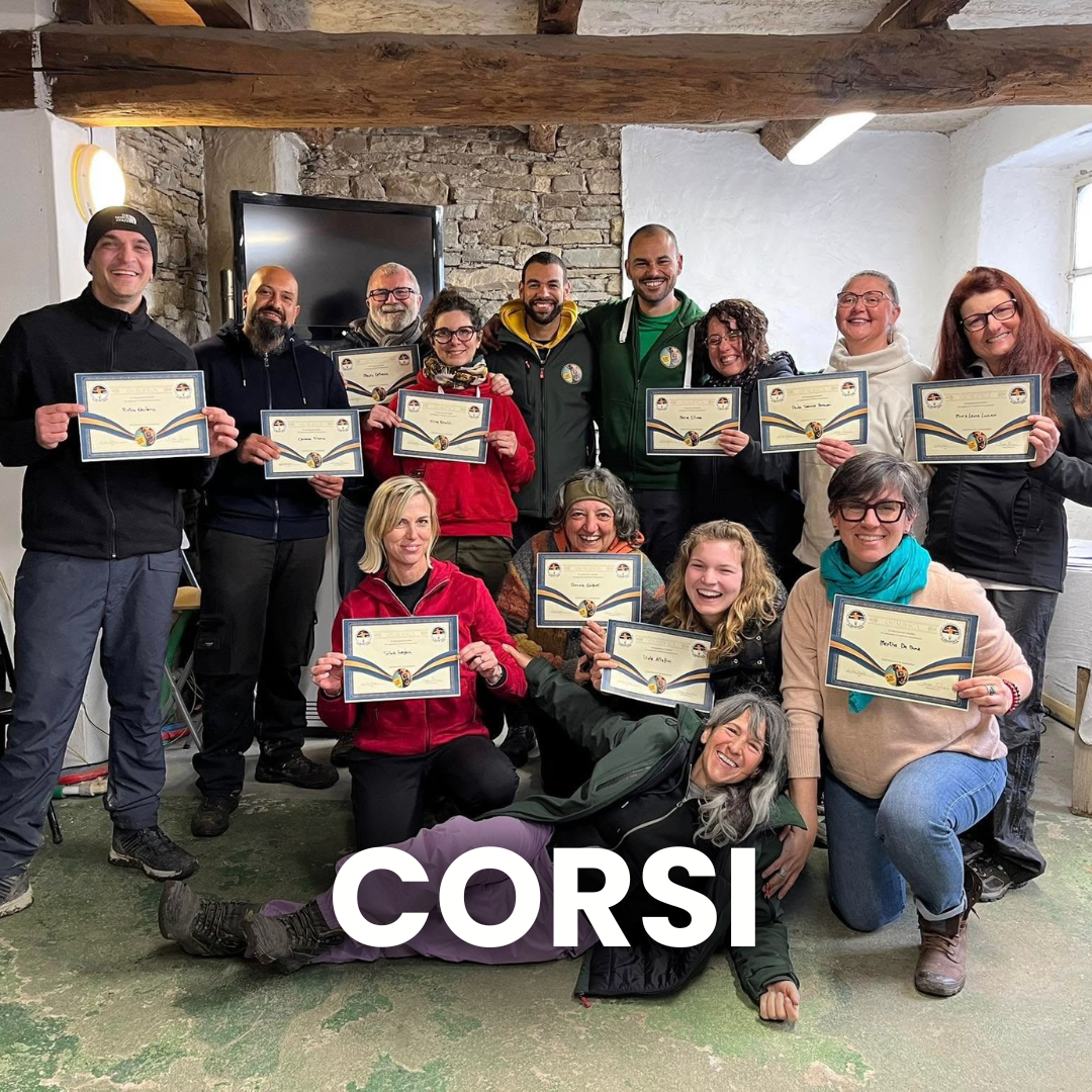 Corsi per educatori cinofili 