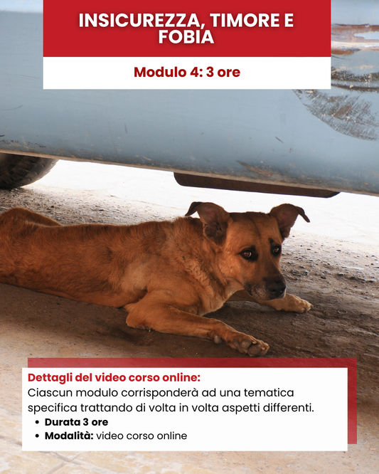 Mod 4 -Insicurezza, timore e fobia