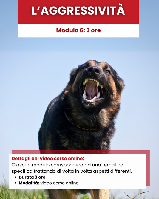 Mod 6 - L'aggressività