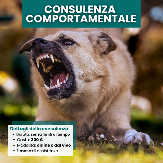 Consulenza comportamentale per cani