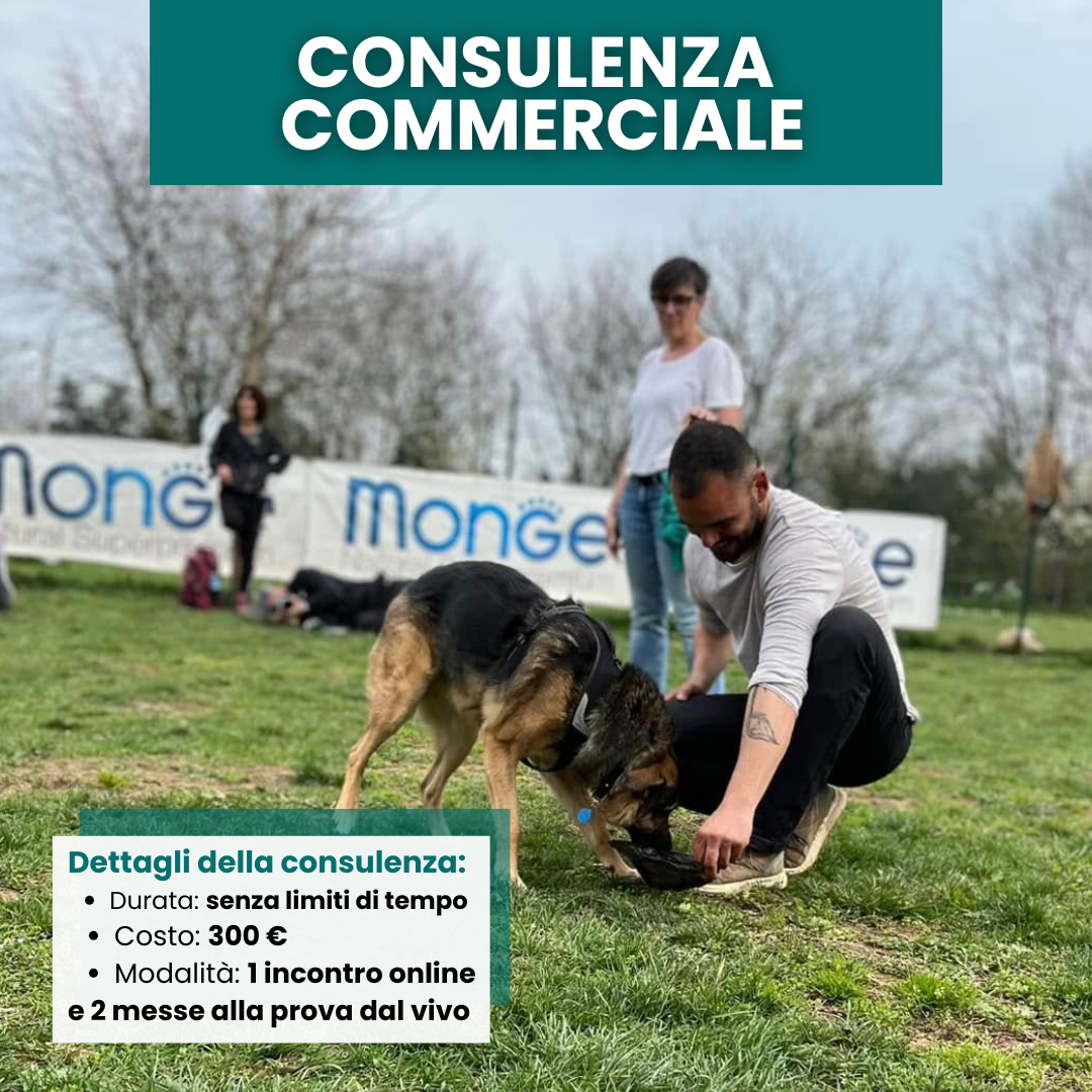 Consulenza per chi vuole immettersi nella cinofilia o mettersi alla prova