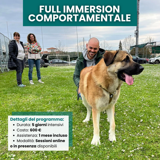 Full Immersion comportamentale canina