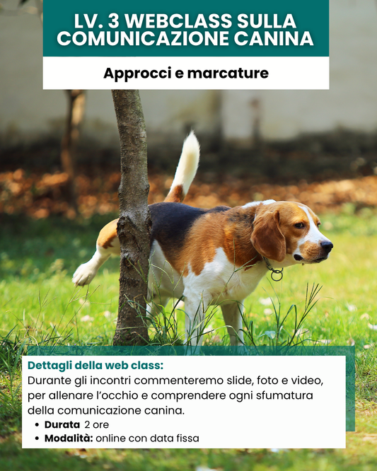 Lv. 3 Webclass sulla comunicazione canina approcci e marcature