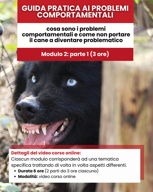 Mod 2 - Part 1 Guida Pratica ai Problemi Comportamentali del cane  Cosa sono i problemi comportamentali e come non portare il cane a diventare problematico