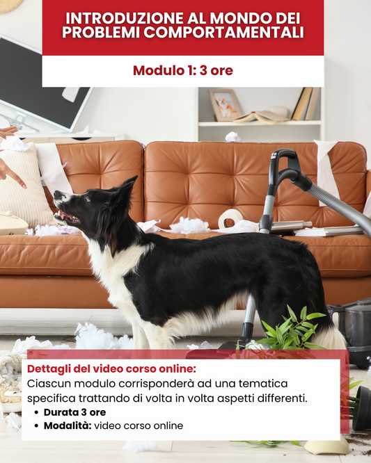 Mod 1 - introduzione al mondo dei problemi comportamentali