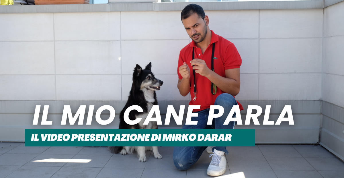Carica il video: Educatore cinofilo Mirko Darar