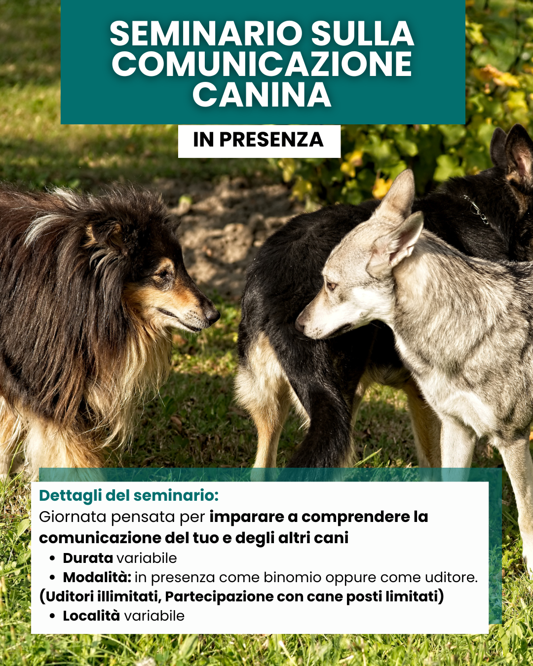 Seminario cinofilo sulla comunicazione canina